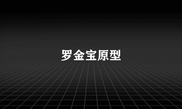 罗金宝原型