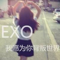 EXO QQ透明皮肤