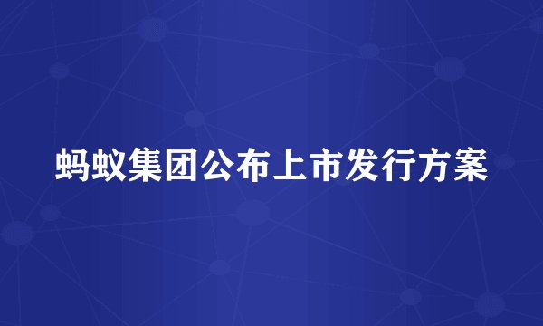 蚂蚁集团公布上市发行方案