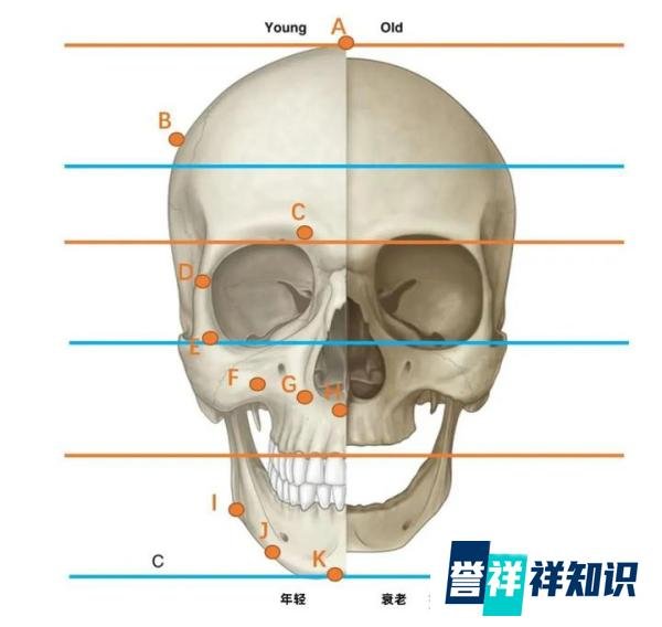 奚梦瑶,骨相脸抗衰教科书!