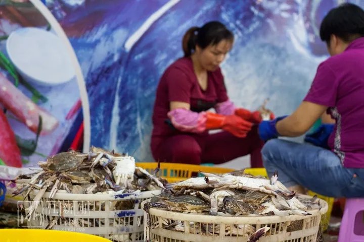 舟山梭子蟹女主播因虚假宣传被罚4万元,她是如何进行虚假宣传的?