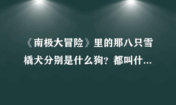 《南极大冒险》里的那八只雪橇犬分别是什么狗？都叫什么名字？