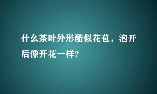 什么茶叶外形酷似花苞，泡开后像开花一样？
