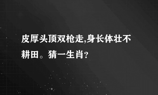 皮厚头顶双枪走,身长体壮不耕田。猜一生肖？