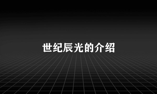 世纪辰光的介绍