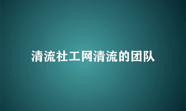 清流社工网清流的团队