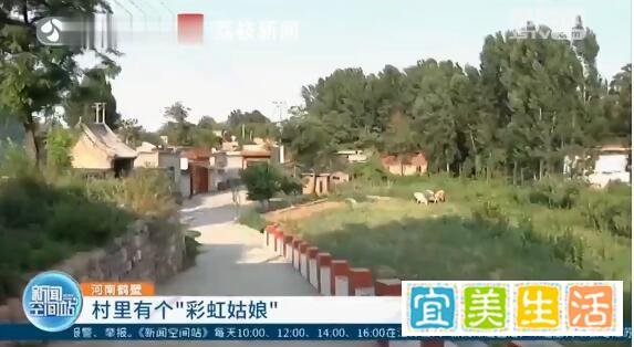 95后村支书打造梦幻彩虹村 这是咋情况？