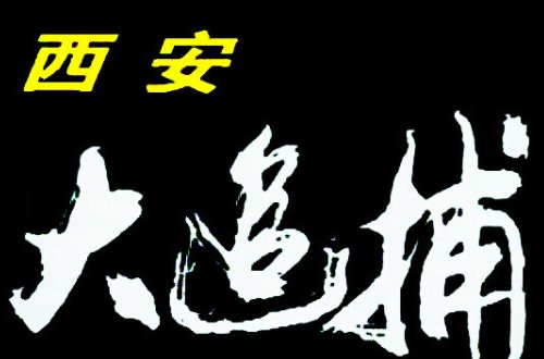 10大悍匪改编的电视剧