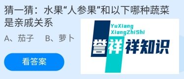 蚂蚁庄园答案“人参果