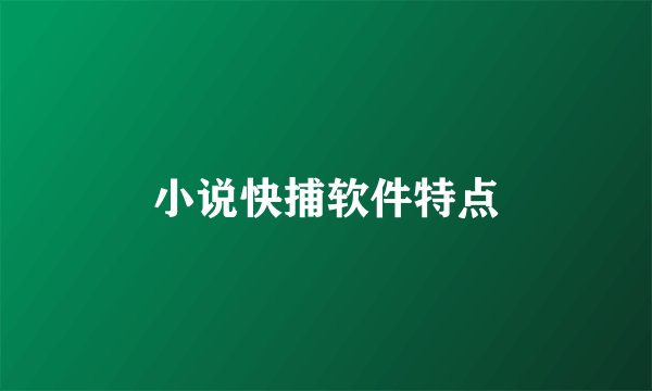 小说快捕软件特点