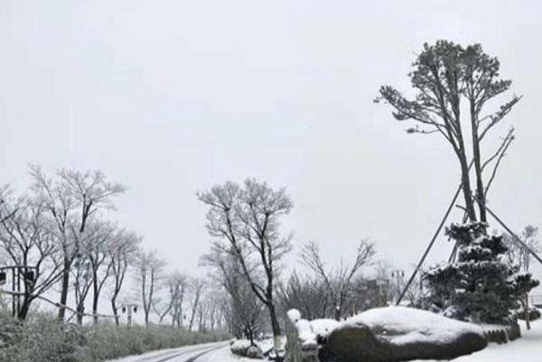 本轮寒潮为啥南方降雪比北方明显（南方大范围降雪）