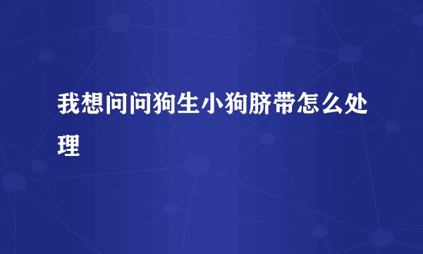 我想问问狗生小狗脐带怎么处理