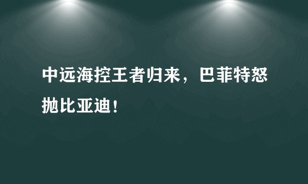 中远海控王者归来，巴菲特怒抛比亚迪！