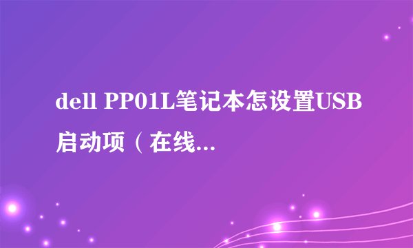 dell PP01L笔记本怎设置USB启动项（在线等待） 跪求！！！
