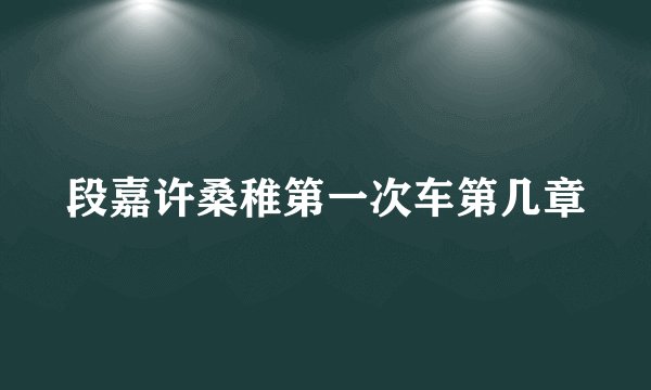 段嘉许桑稚第一次车第几章