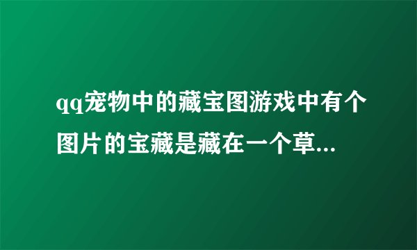 qq宠物中的藏宝图游戏中有个图片的宝藏是藏在一个草坪上,上面有一个白色的小锄头谁知道在哪里
