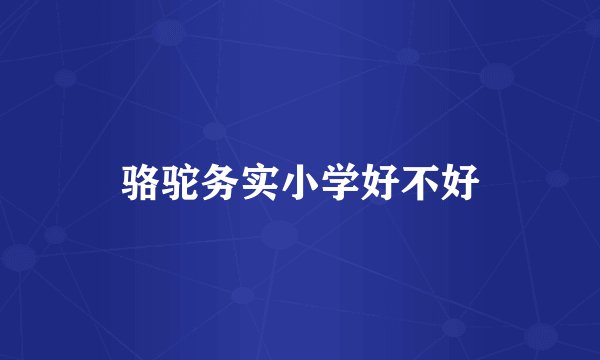 骆驼务实小学好不好
