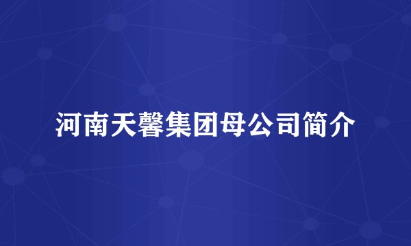 河南天馨集团母公司简介