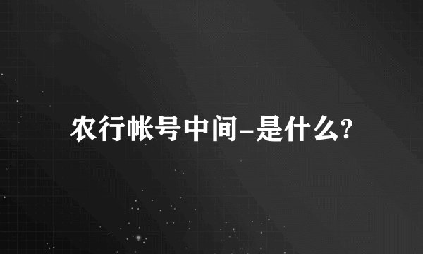 农行帐号中间-是什么?