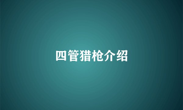 四管猎枪介绍