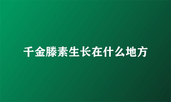 千金滕素生长在什么地方