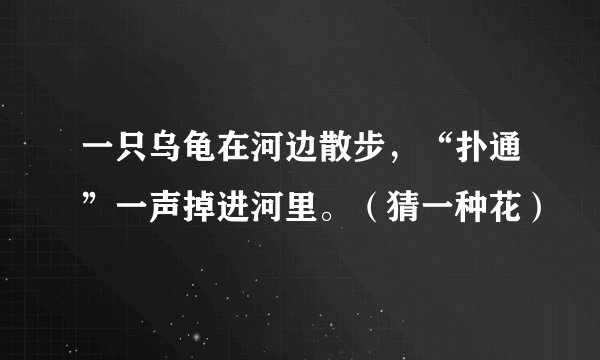 一只乌龟在河边散步,“扑通”一声掉进河里。(猜一种花)