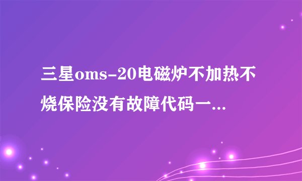 三星oms-20电磁炉不加热不烧保险没有故障代码一切正常就是不加热