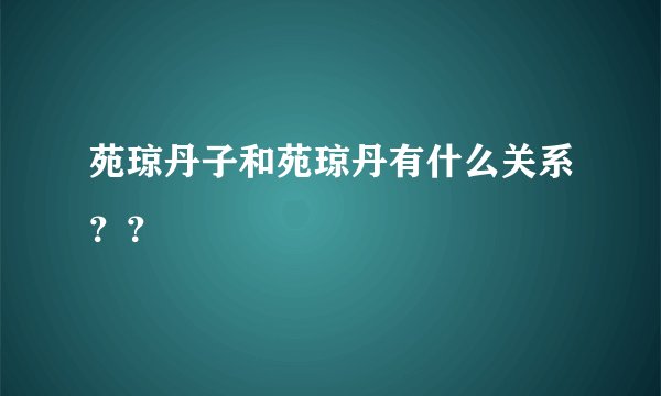 苑琼丹子和苑琼丹有什么关系??
