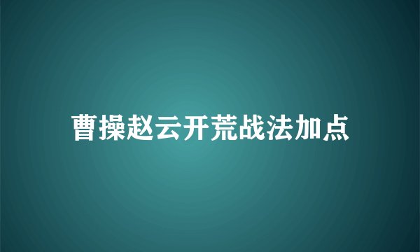 曹操赵云开荒战法加点