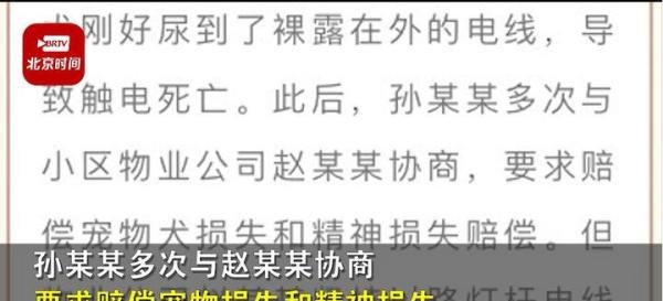狗子在小区路灯杆旁撒尿被电死,主人索赔5万,有戏吗?