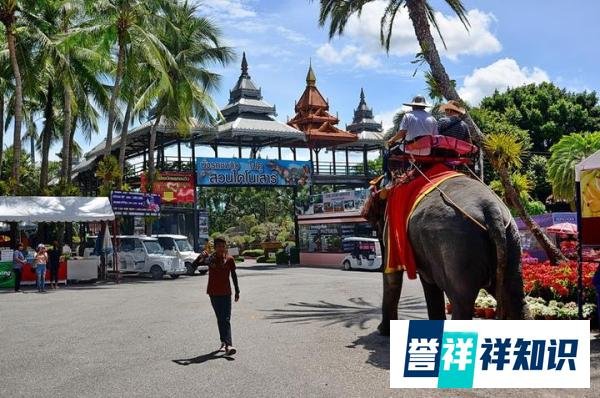 为啥泰国东芭乐园如此出名，可以说是去泰国旅游必打卡的地方