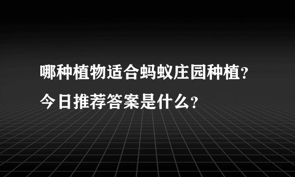 哪种植物适合蚂蚁庄园种植？今日推荐答案是什么？
