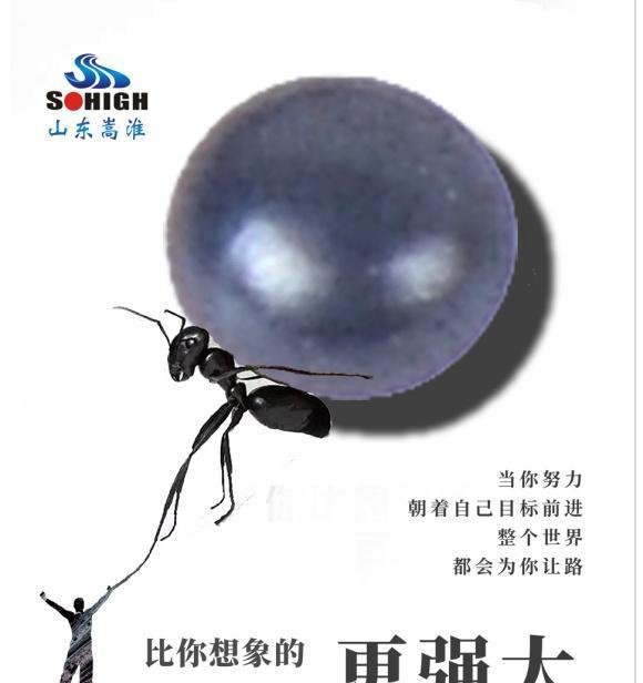 合金钢丸是什么