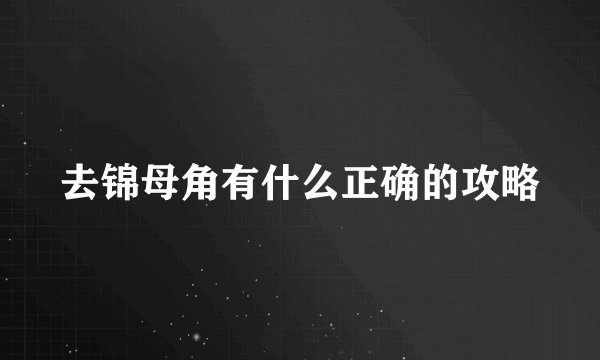 去锦母角有什么正确的攻略