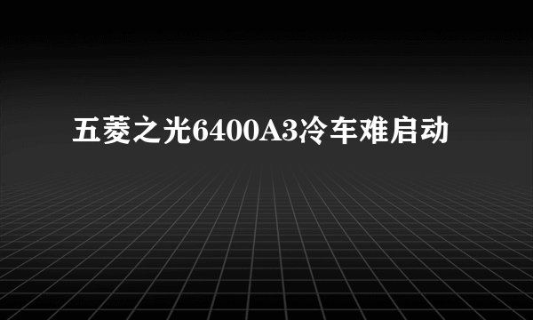 五菱之光6400A3冷车难启动