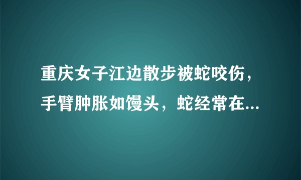 重庆女子江边散步被蛇咬伤,手臂肿胀如馒头,蛇经常在哪些地方出没?