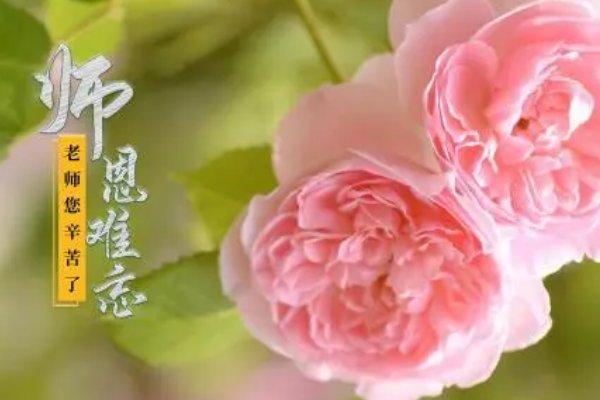 献给老师的简短诗歌