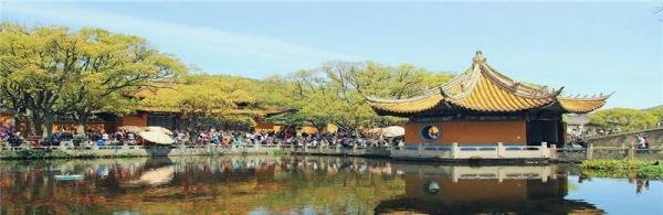 普陀山风景区和寺庙开放了吗