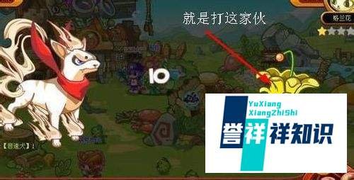 洛克王国阳光收集瓶怎么得