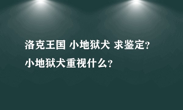 洛克王国 小地狱犬 求鉴定？小地狱犬重视什么？