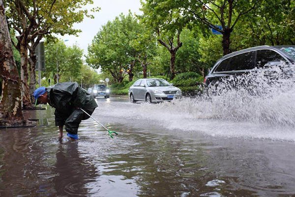 四川暴雨！大鱼游上街头乱窜，这鱼从哪来的？