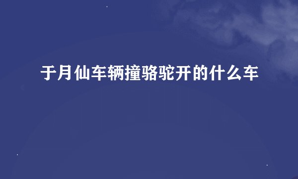 于月仙车辆撞骆驼开的什么车