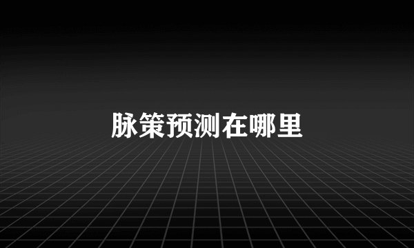 脉策预测在哪里