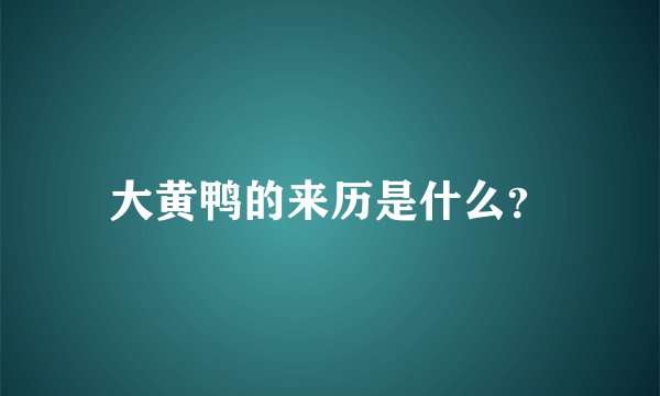 大黄鸭的来历是什么？