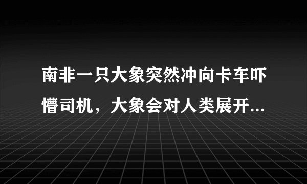 南非一只大象突然冲向卡车吓懵司机，大象会对人类展开攻击吗？