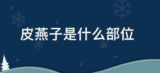 皮燕子什么意思啊？