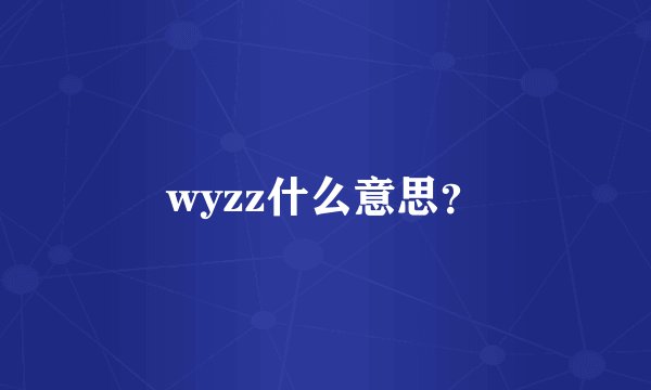 wyzz什么意思？