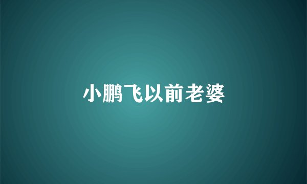 小鹏飞以前老婆
