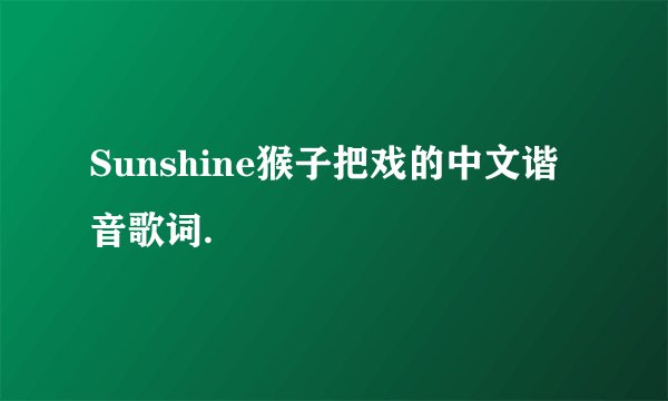 Sunshine猴子把戏的中文谐音歌词.