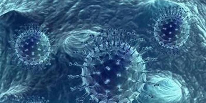 关于哈尔滨16名学生感染诺如病毒一事,你有何看法?